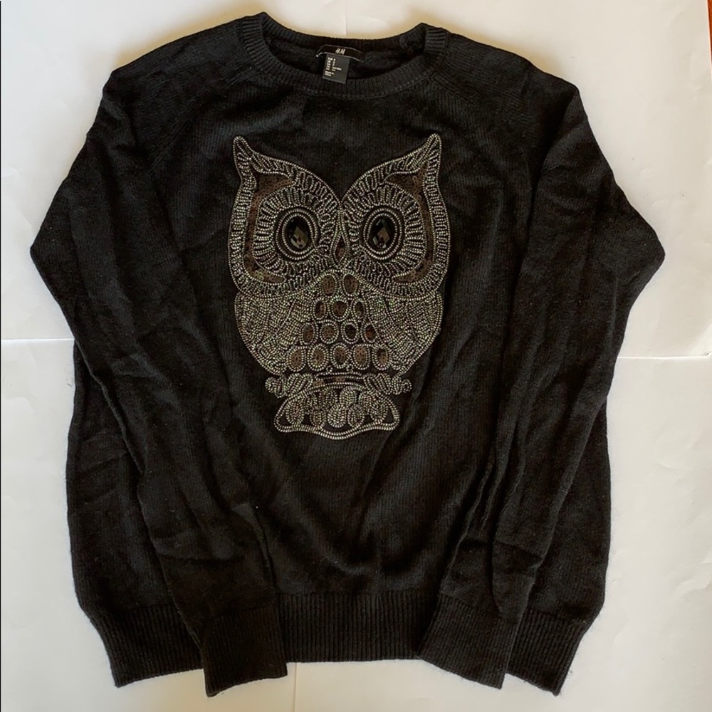New H&M Owl Sweater